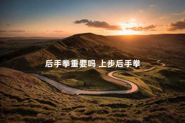 后手拳重要吗 上步后手拳